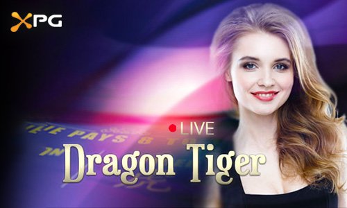 dragon tiger (2)